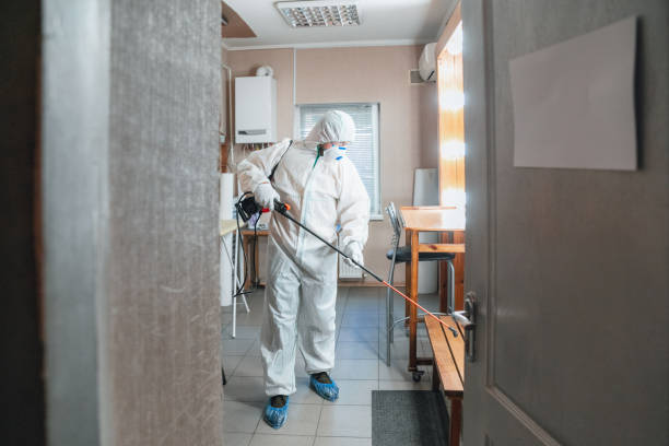 Asbestos and Lead Testing During Mold Inspection in Atchison, KS